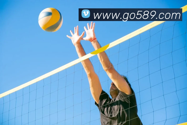 米兰·(milan)中国有限公司官方网站品牌故事